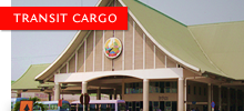 Transit Cargo